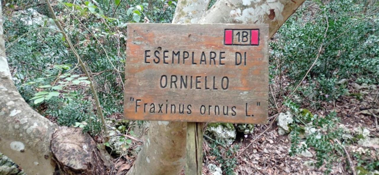 Bed and Breakfast Dimora Pianelle Crispiano Esterno foto